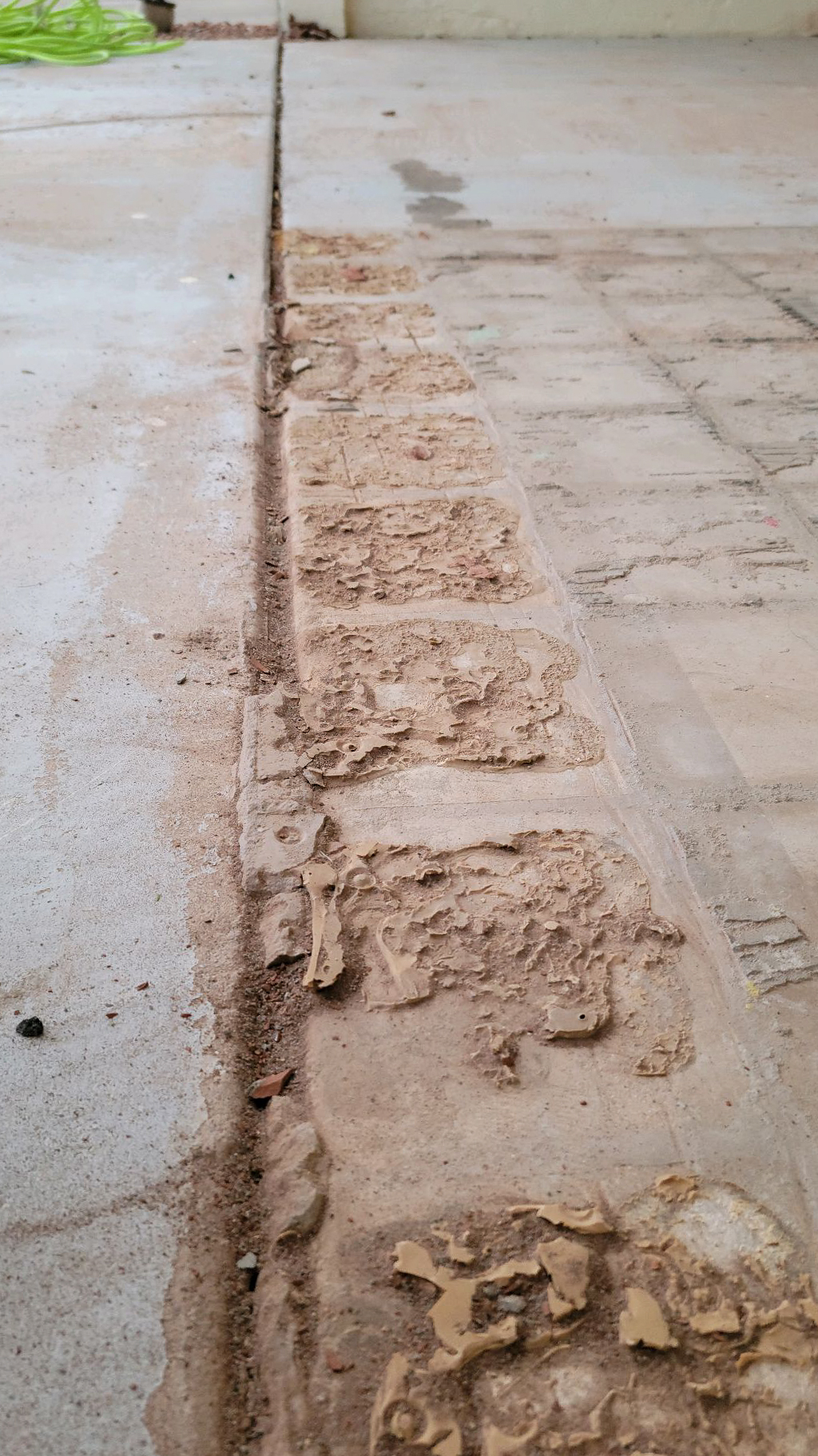 Floor Before